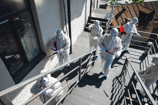 Best Crawl Space Mold Remediation  in North Webster, IN