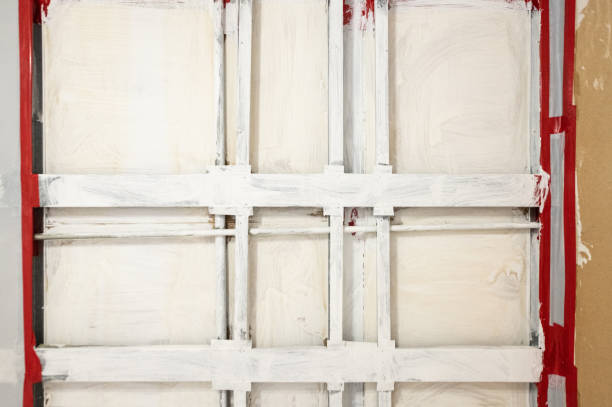 Best Forensic Mold Investigation  in North Webster, IN